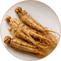 HorseFil™ Panax Ginseng Extract