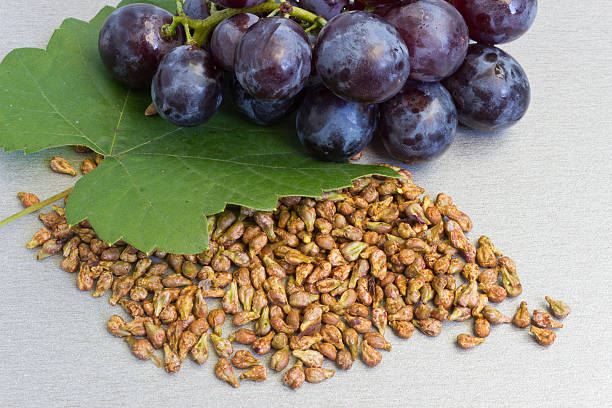 HorseFil™ Grape Seed Extract